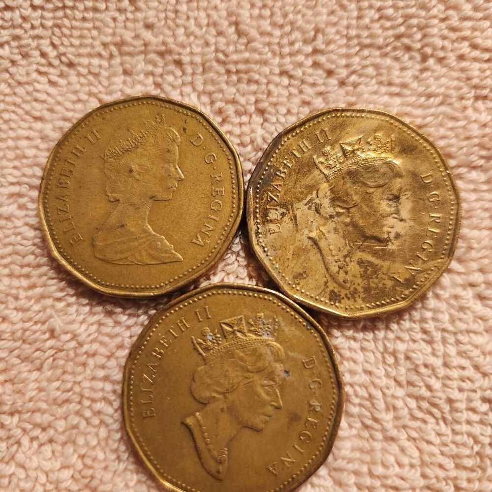 Free-people Gold and Brown Collectibles